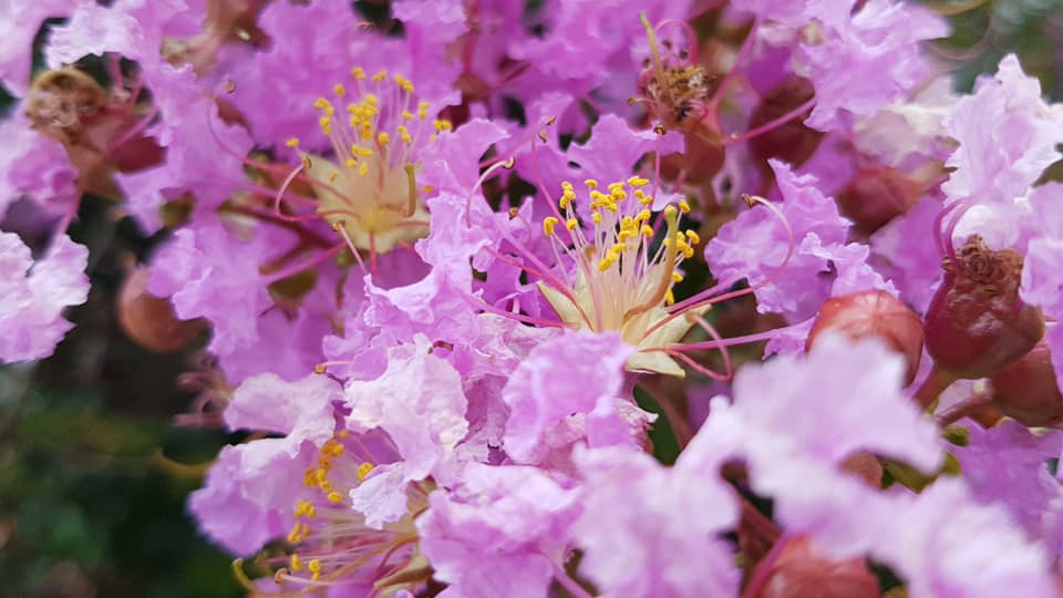 Баща ми_10.jpg