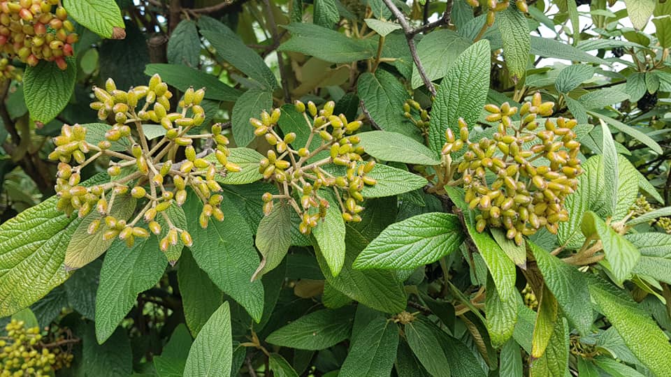 Баща ми_12.jpg