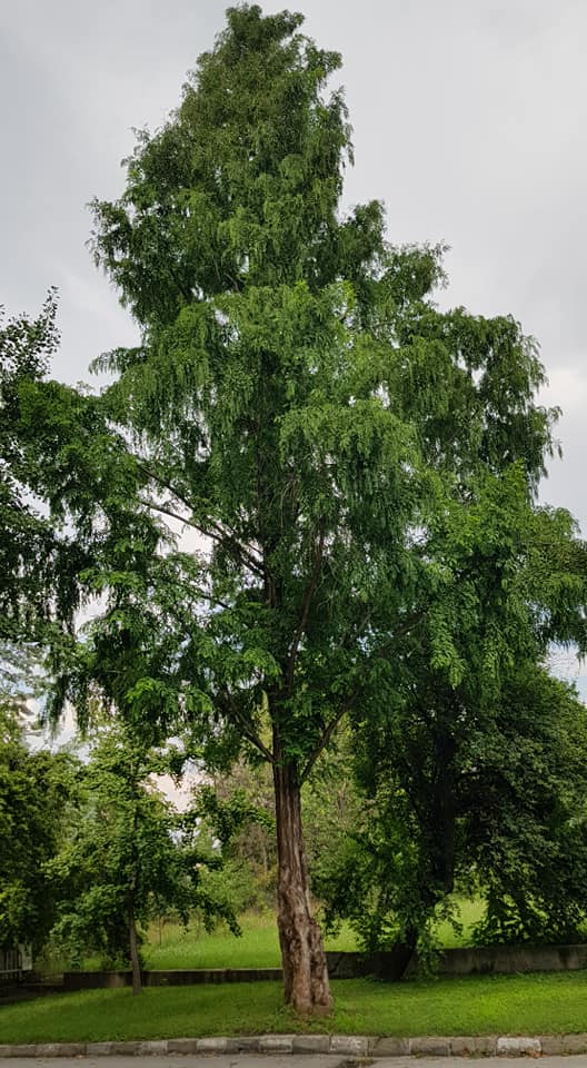 Баща ми_13.jpg