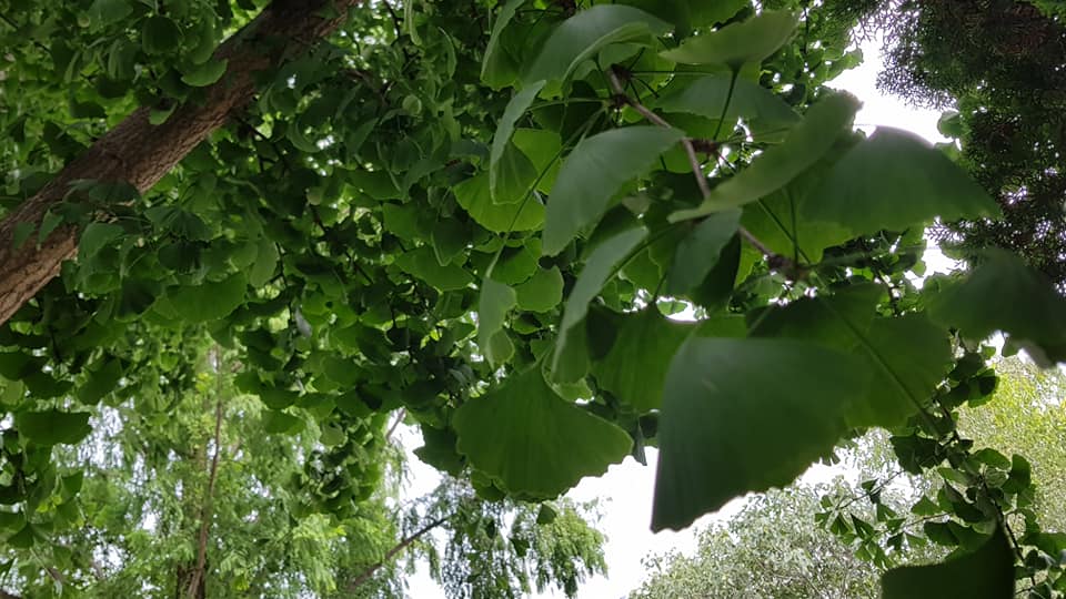 Баща ми_14.jpg