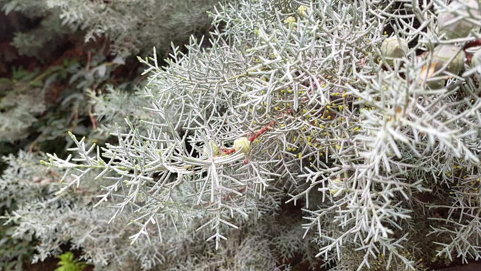 Баща ми_16.jpg