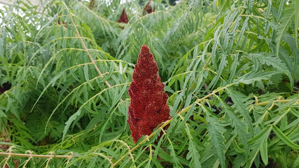 Баща ми_19.jpg