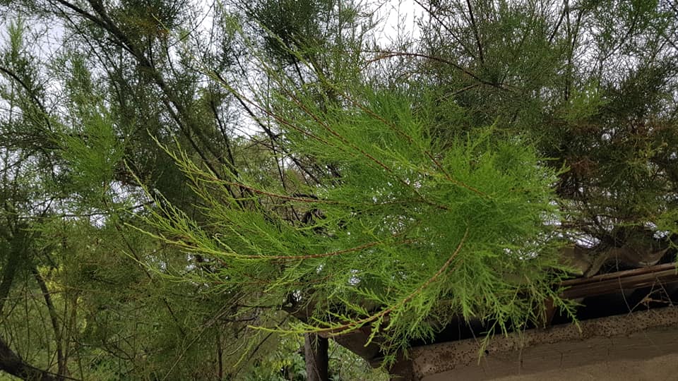 Баща ми_22.jpg