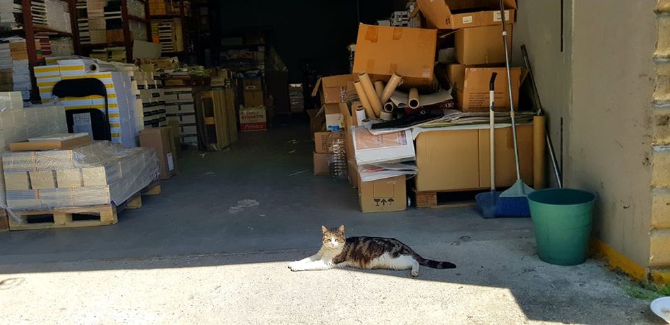 Охранителят